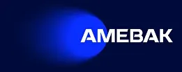 АМЕ Вакуум: фирменный стиль
