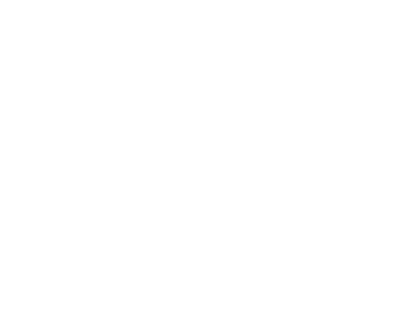 LS Large Logo
