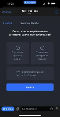 Мокап 8