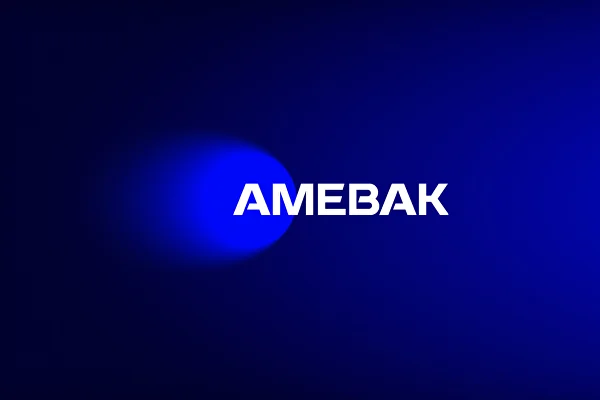 АМЕ Вакуум: фирменный стиль